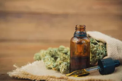 Yerba Buena inicia la producción de aceite de cannabis