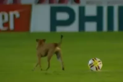 Un perro entró a la cancha y demoró el inicio del partido en La Ciudadela