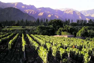Turismo en Salta: la ruta del vino con magia y sabor a vid en familia