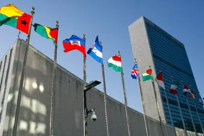 A 70 años de la declaración universal forjada por mujeres