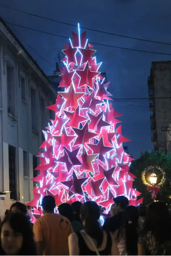 Con el arbolito armado, los tucumanos se preparan para recibir la Navidad