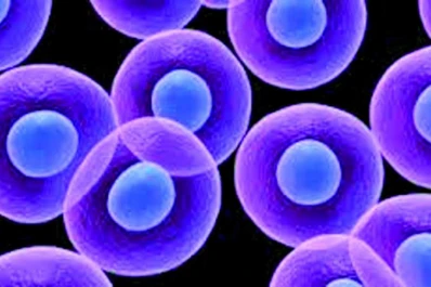 A veces el cáncer enloquece a las células madre