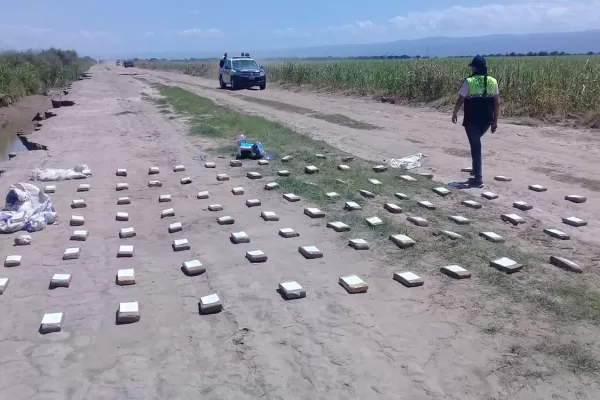 Un empleado judicial estaría involucrado en el vuelo narco