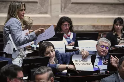 Mirá cómo nos ponemos, los carteles que lucieron las senadoras en las bancas
