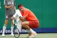 Calleri habló del posible regreso de Juan Martín del Potro para jugar la Copa Davis