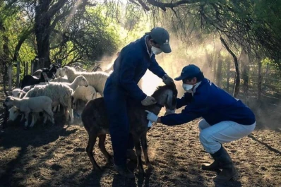 Fortalecen los aspectos comerciales vinculados con las producciones de la agricultura familiar en Tucumán