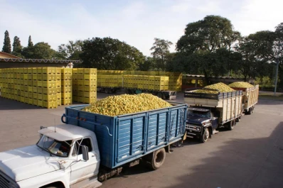 Producción limpia y productos saludables, los temas del Congreso Argentino de Citricultura 2019