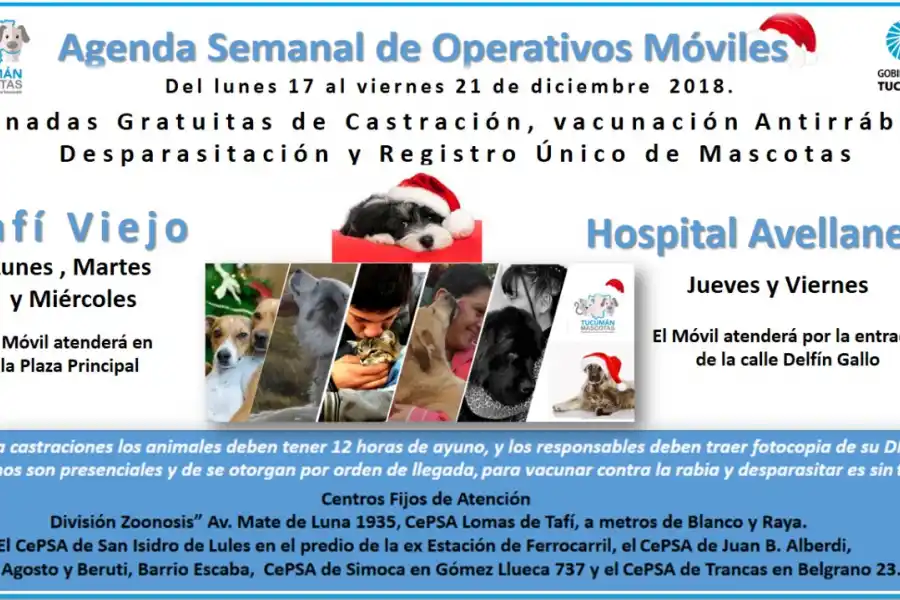 AGENDA SEMANAL. Todo lo que tenés que saber para pedir un turno.