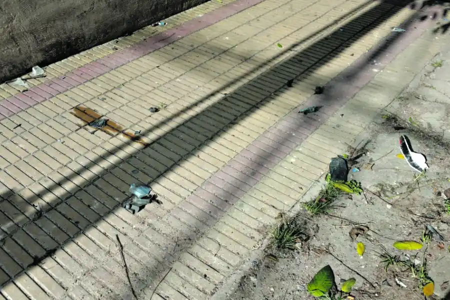 LA VEREDA DEL CRIMEN. Los restos de la moto.