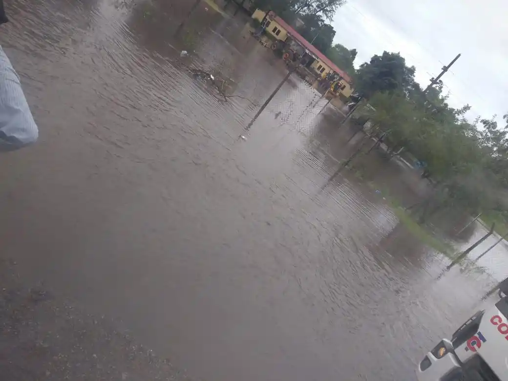 Calles anegadas, árboles caídos y cortes de luz: cómo y dónde impactó el temporal en Tucumán