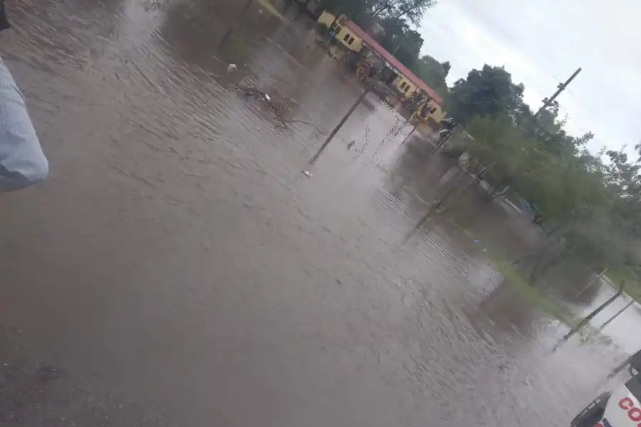 Calles anegadas, árboles caídos y cortes de luz: cómo y dónde impactó el temporal en Tucumán