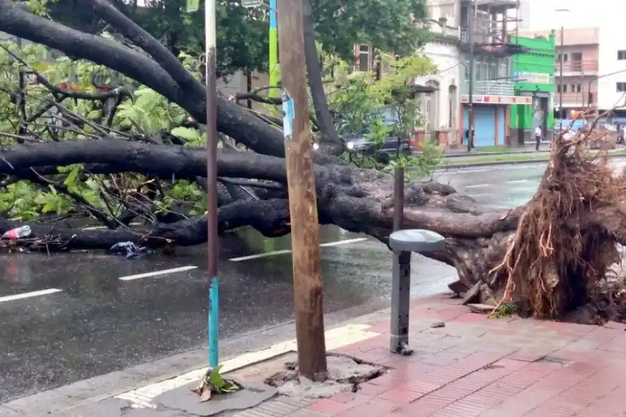 Calles anegadas, árboles caídos y cortes de luz: cómo y dónde impactó el temporal en Tucumán