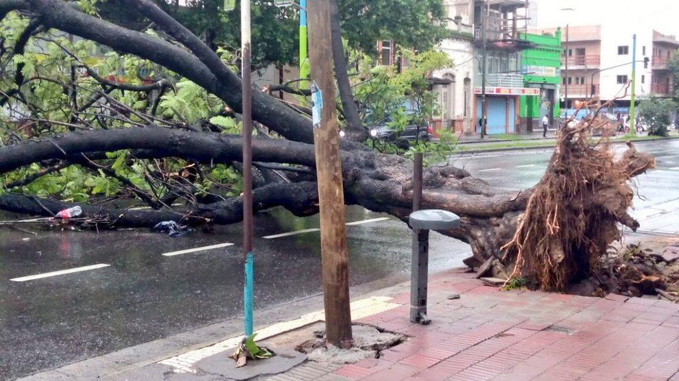 Calles anegadas, árboles caídos y cortes de luz: cómo y dónde impactó el temporal en Tucumán