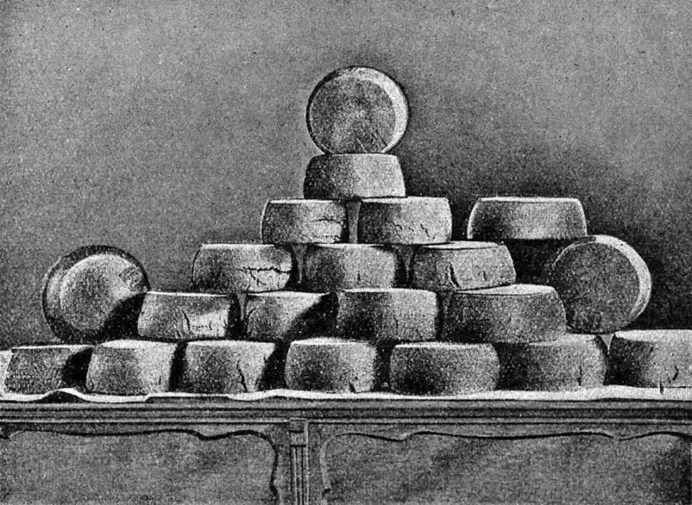 LA FIRMA. La clara y ágil letra de Silva revelaba a un hombre de cierta cultura