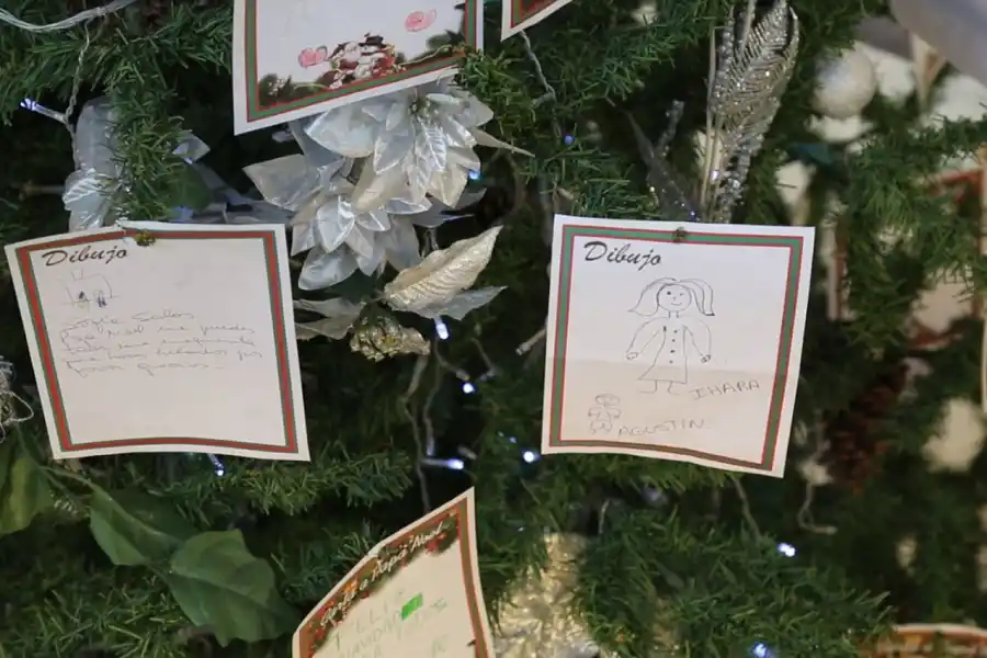 Video: los pedidos más insólitos de los niños tucumanos para Papá Noel