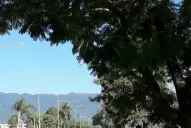 Qué controles se hacen en las rutas nacionales y provinciales