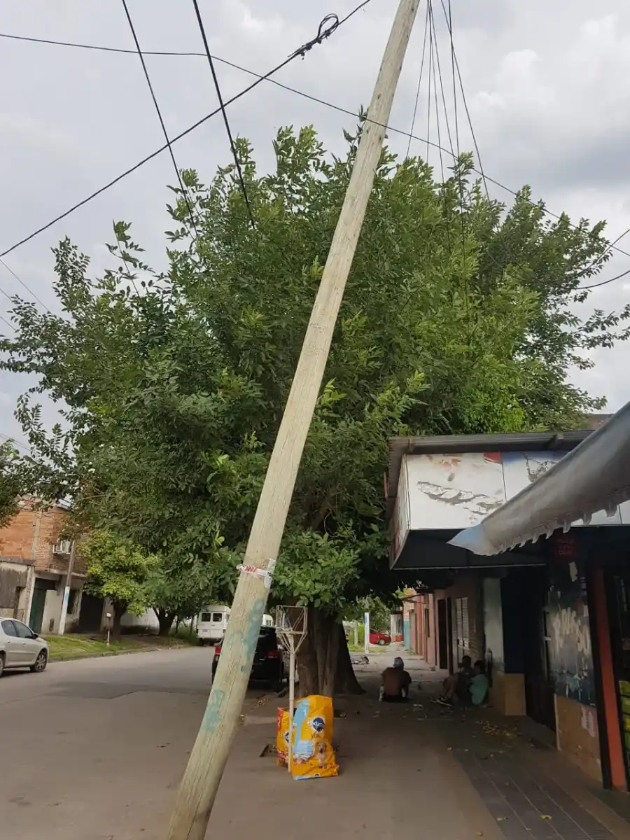 DELFÍN GALLO AL 200