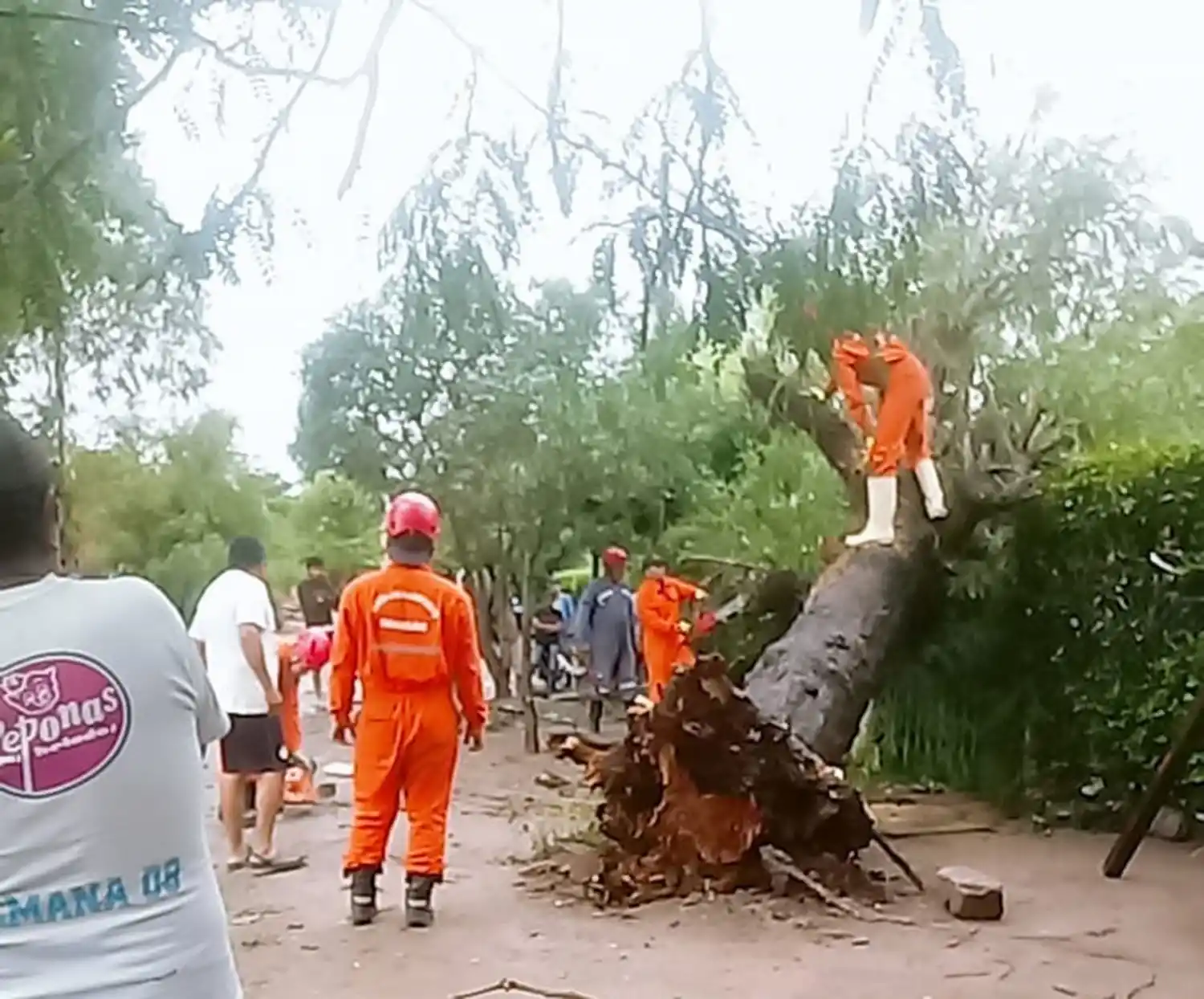 BOMBEROS DE TRANCAS AYUDANDO A LOS VECINOS DE SAN PEDRO