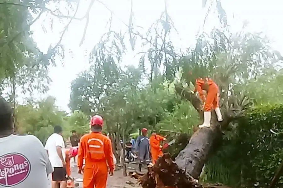 BOMBEROS DE TRANCAS AYUDANDO A LOS VECINOS DE SAN PEDRO