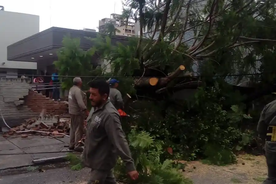 Cayó un árbol sobre una pared del Centro de Salud y una mujer se salvó de ser aplastada