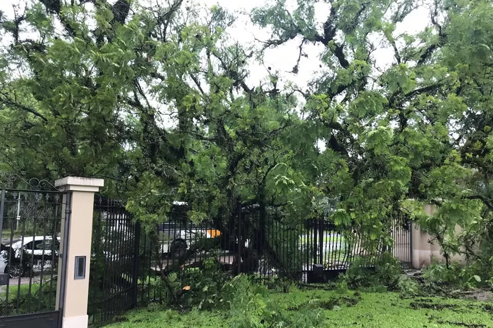AV. ACONQUIJA AL 800. Un árbol cayó sobre el portón de ingreso.