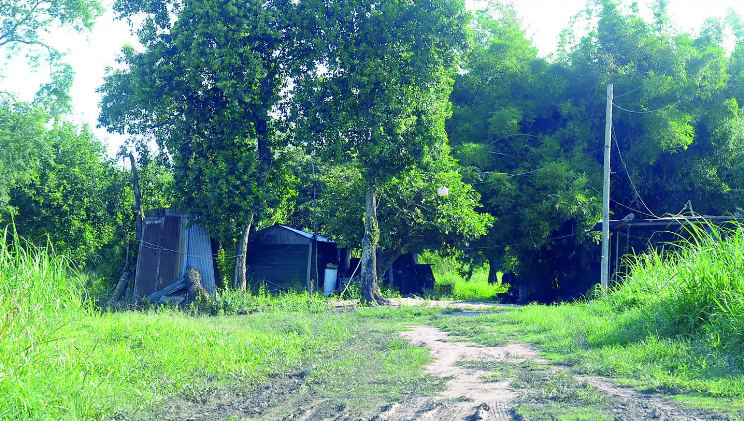 El hecho ocurrió en una precaria casa