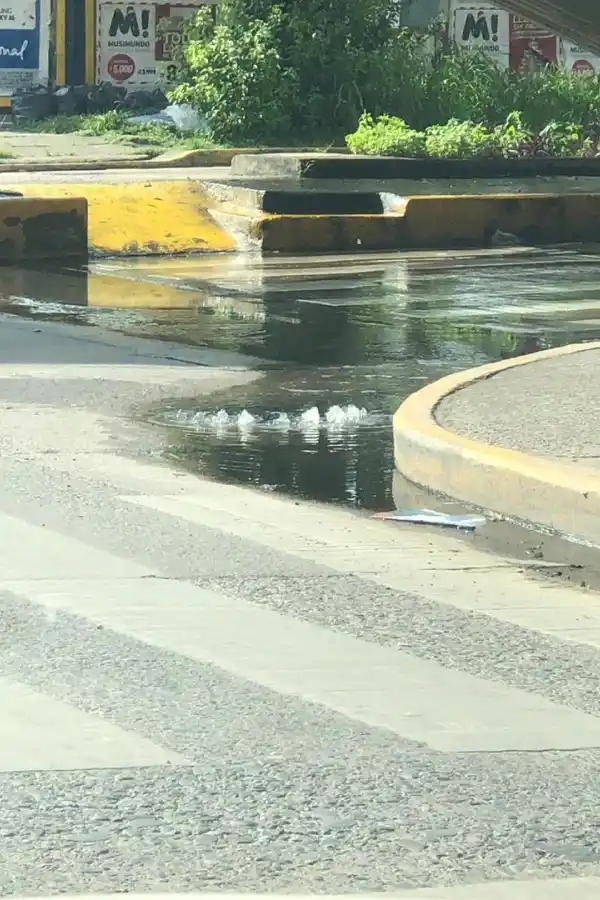 LA GACETA en Whatsapp: líquidos fétidos en Balcarce al 500