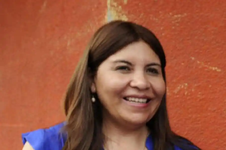  Sandra Mendoza (PJ-Tucumán Innovador)