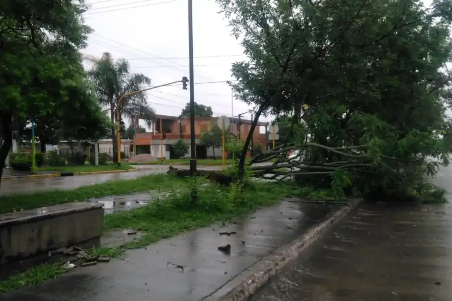 Tormenta eléctrica en Tucumán: árboles caídos, voladuras de techos y heridos