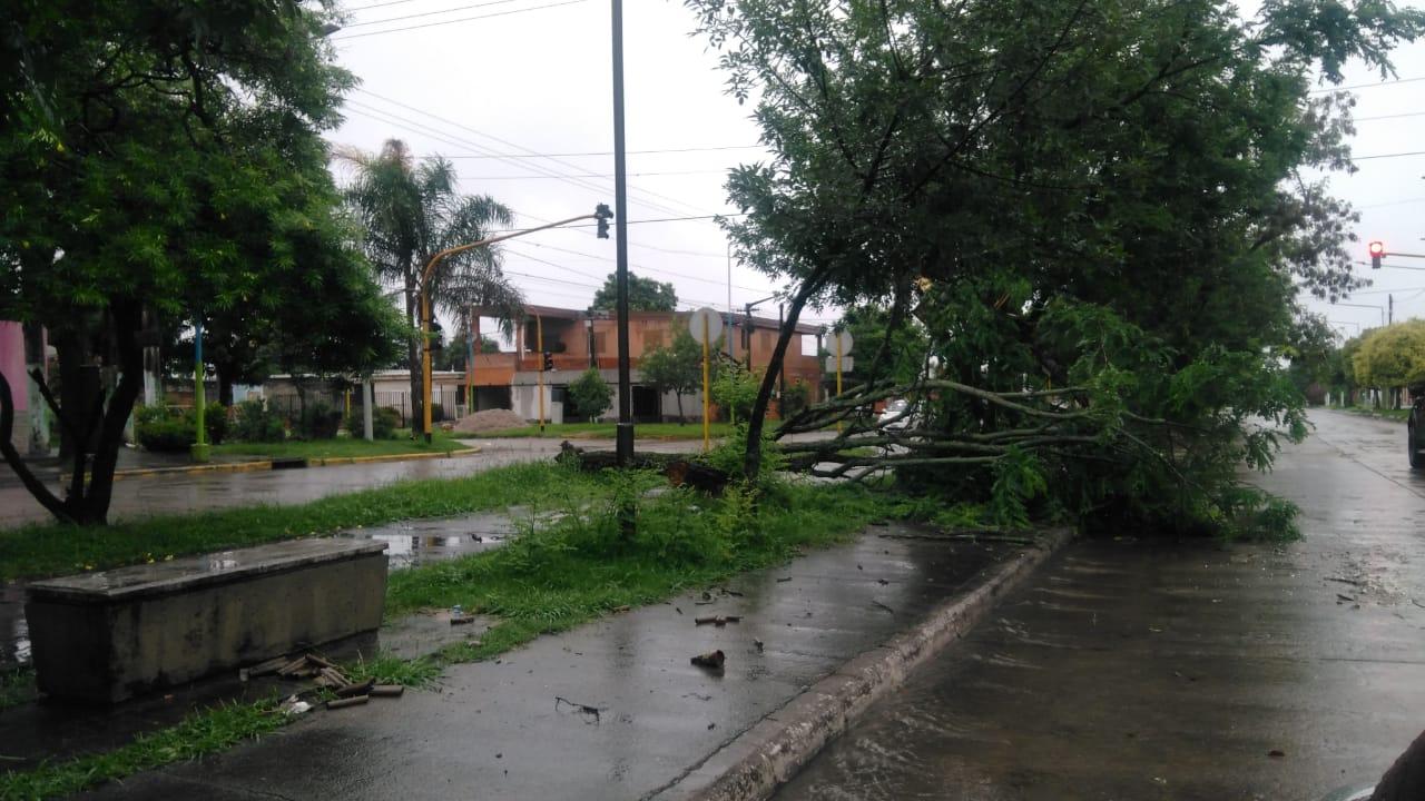 Tormenta eléctrica en Tucumán: árboles caídos, voladuras de techos y heridos