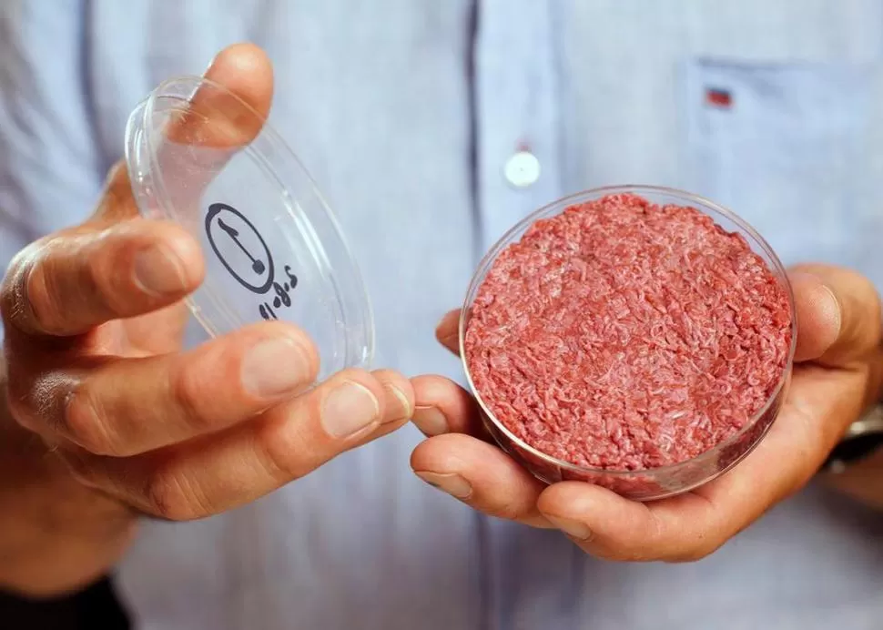 EN LABORATORIO. Se necesita cultivar unos 15.000 millones de células para una hamburguesa de 100 gramos. REUTERS.- 