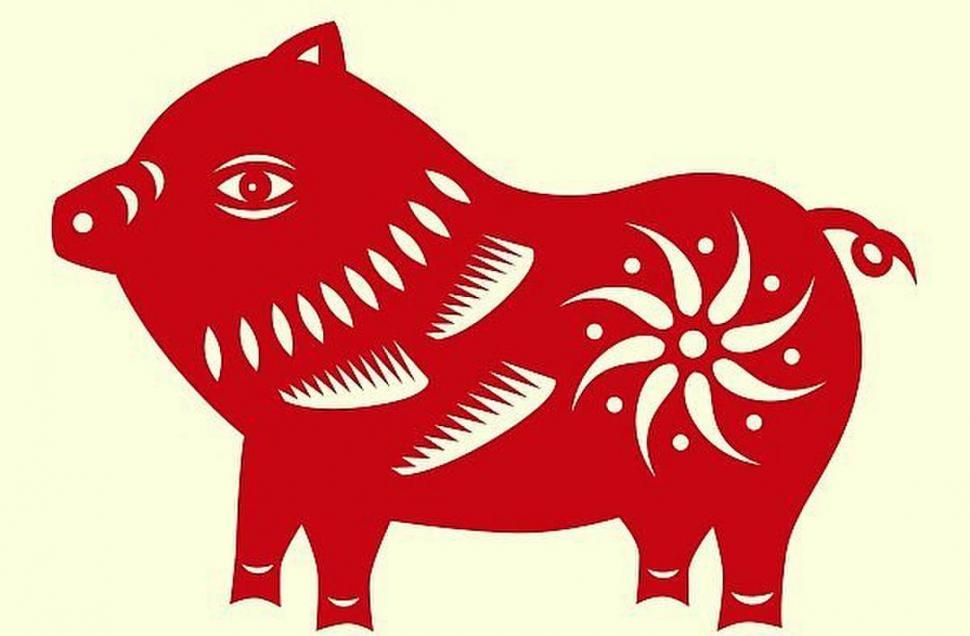 Horóscopo Chino 2019: ¿qué te depara el año del Chancho?