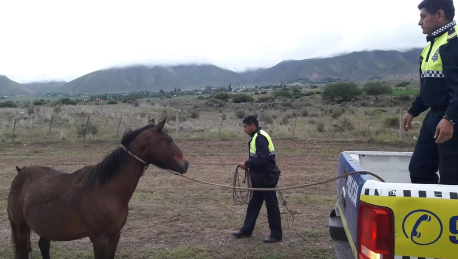 El Mollar: policías salieron a secuestrar animales sueltos para evitar accidentes en la ruta