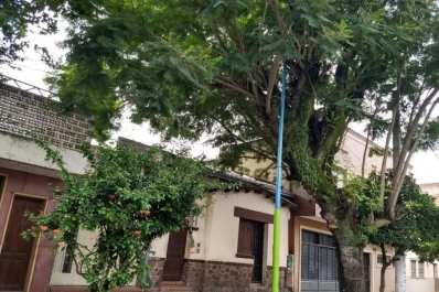 Vecinos de 25 de Mayo al 1.200 temen que se les caiga un árbol
