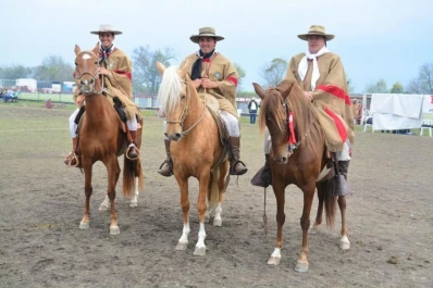 Concurso de caballos peruanos