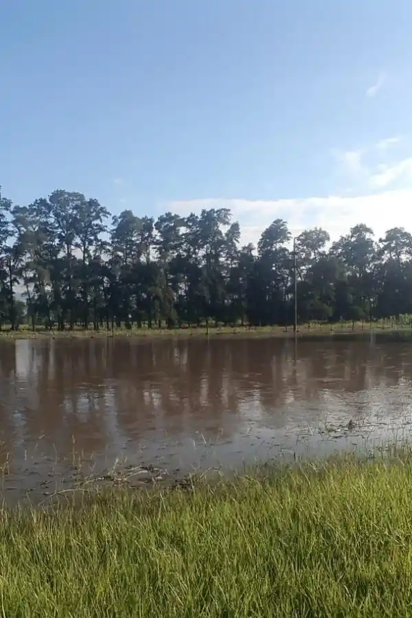  EVALUACIÓN. Los campos están en depresión y ya se perdieron cultivos.