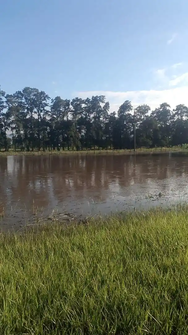  EVALUACIÓN. Los campos están en depresión y ya se perdieron cultivos.