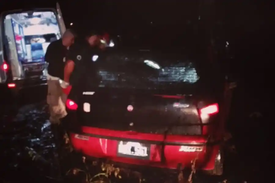 Un hombre sobrevivió de milagro tras chocar contra una palmera en la ruta 304