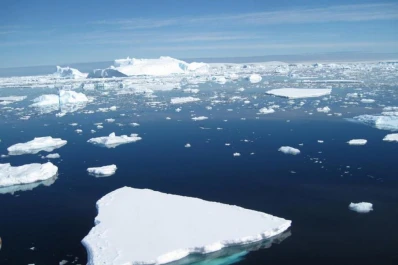 Calentamiento global: los hielos antárticos se están reduciendo a niveles críticos