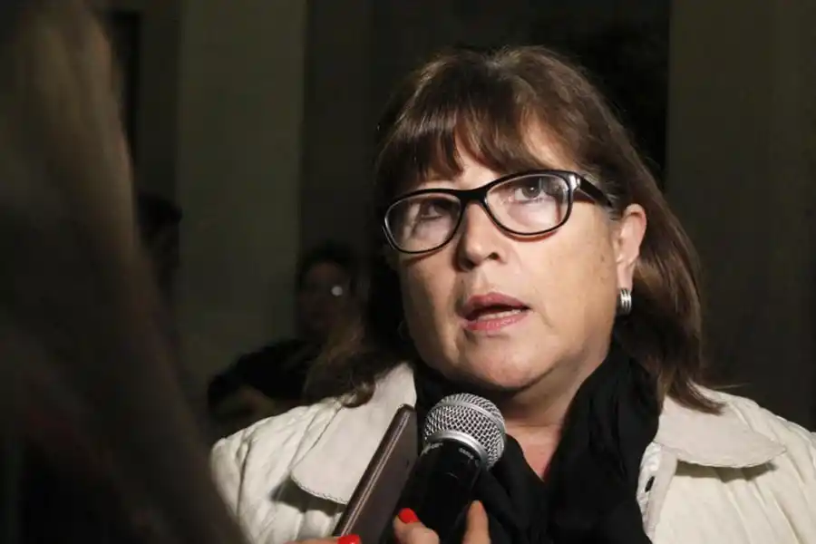 REFERENTE. Cristina Alabarce, directora del Hospital de Niños. archivo 