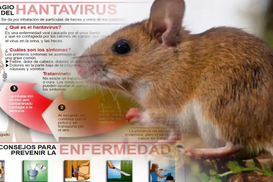 HANTAVIRUS. Se confirmó un caso 