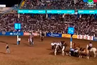 Video: polémica por la muerte de un caballo en el festival Jesús María