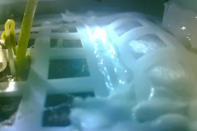 China anuncia que, en la sonda que explora el lado oscuro de la Luna, nació una planta