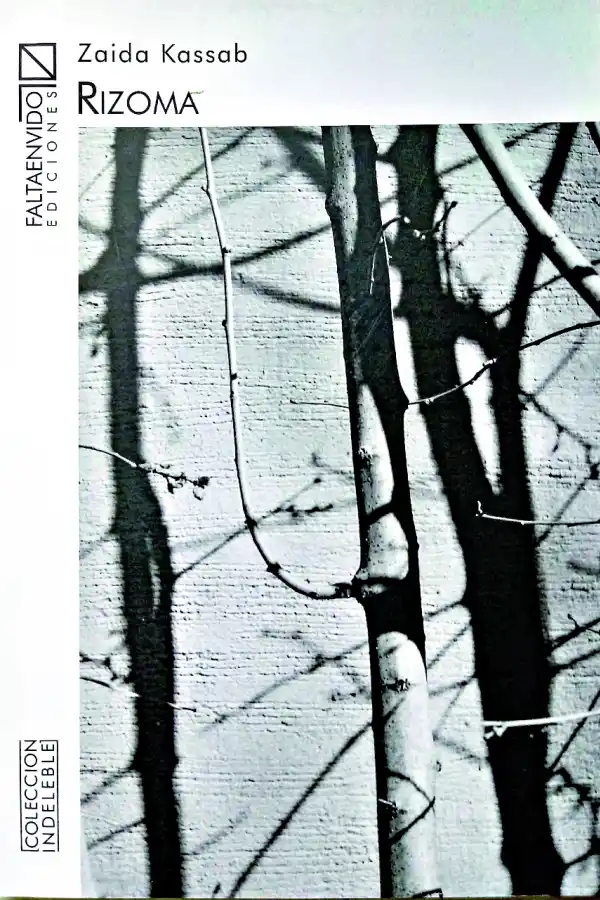 Yo te recomiendo: tres libros imperdibles para estas vacaciones