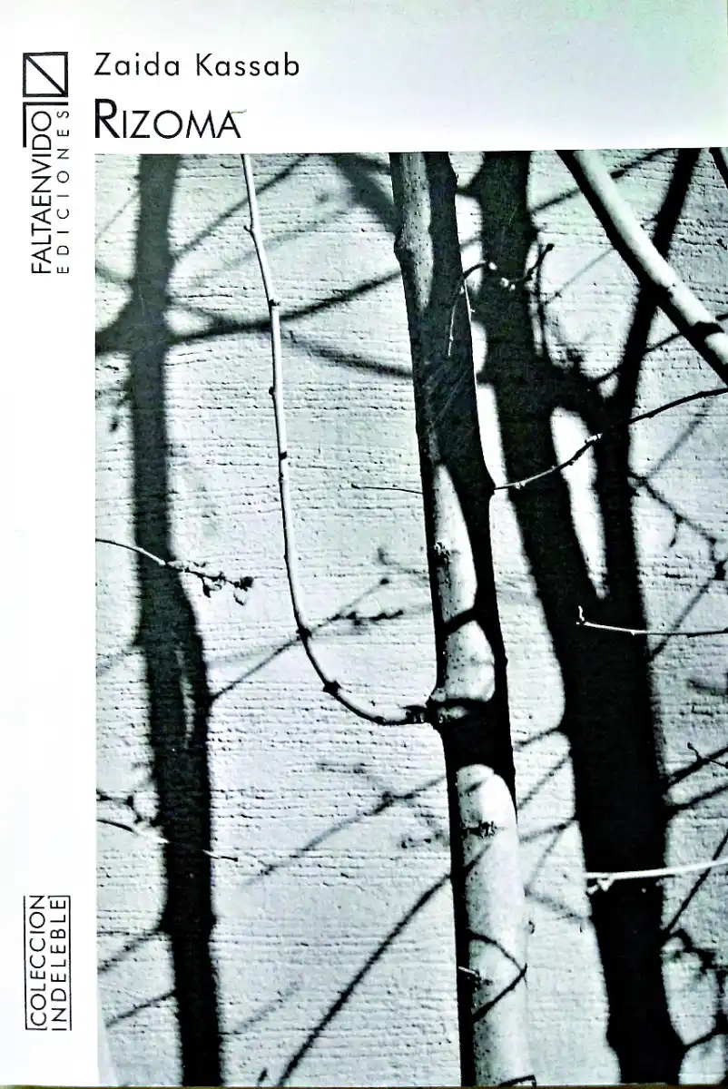 Yo te recomiendo: tres libros imperdibles para estas vacaciones