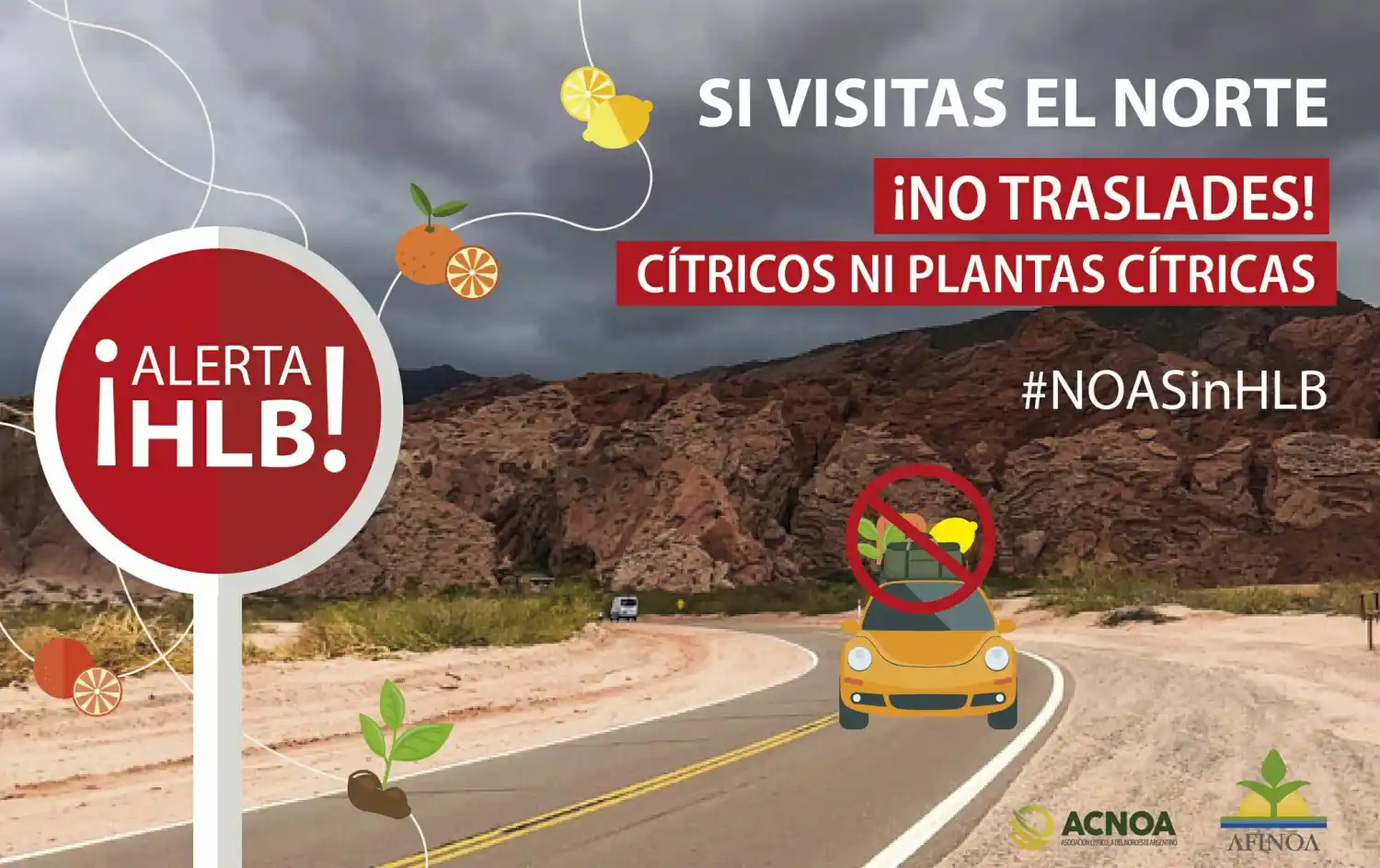 Contra el HLB: prohíben el ingreso de cítricos en todo el NOA