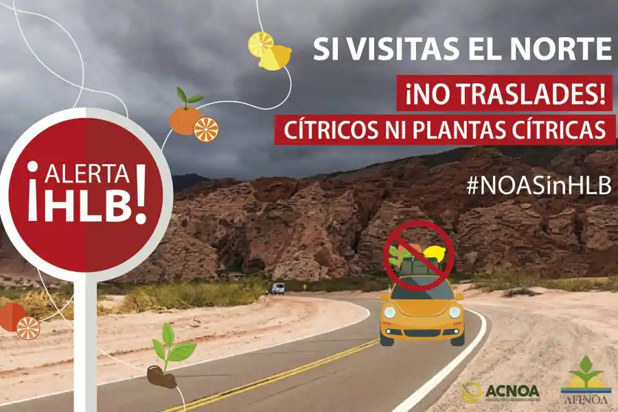 Contra el HLB: prohíben el ingreso de cítricos en todo el NOA