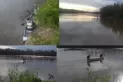 Reanudan la búsqueda del hombre que desapareció en el río Salí mientras pescaba 