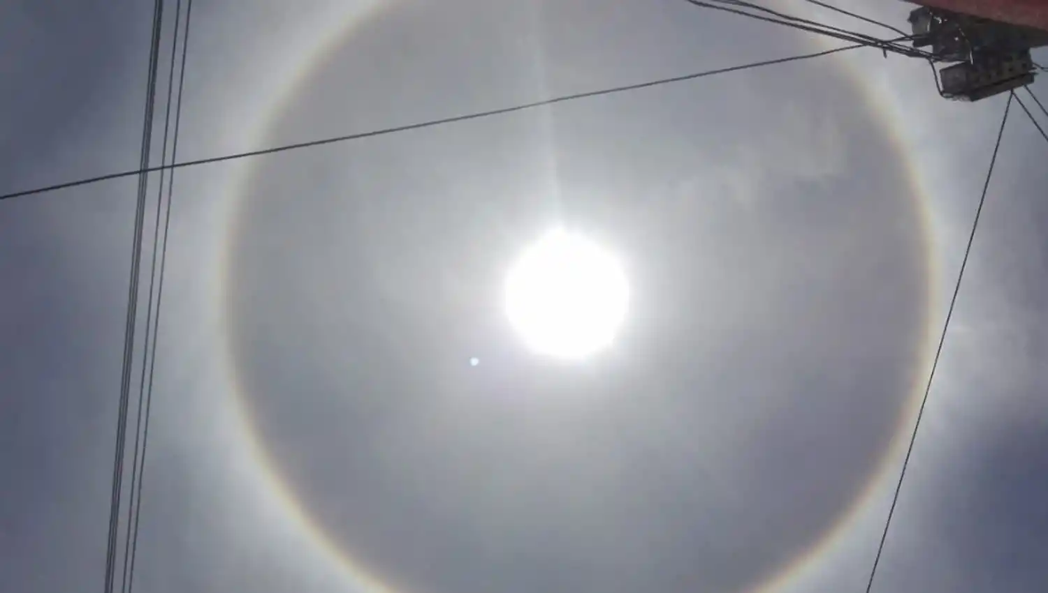 EN TAFI DEL VALLE. La imagen fue tomada en avenida Perón.