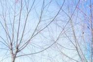 Tragedia en Tafí: lo vio junto a un árbol y lo rescató